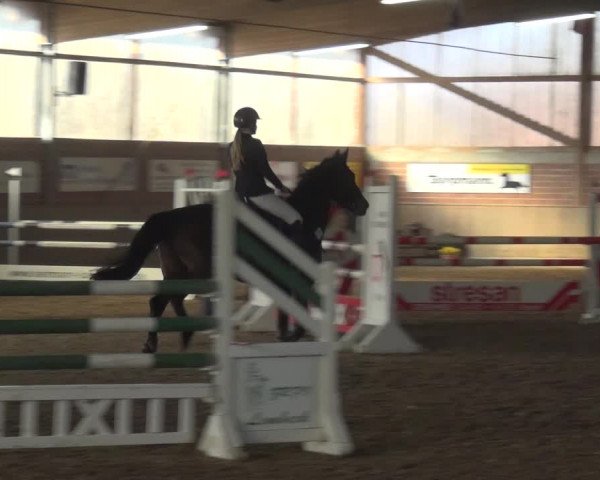 Reitturnier Lembeck 2019