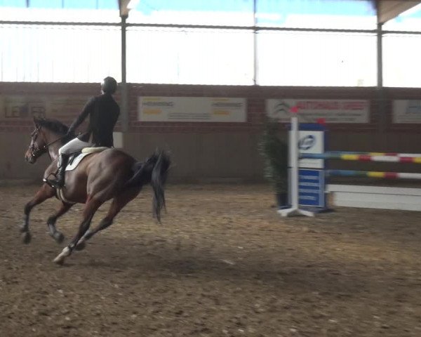 Reitturnier Lembeck 2019