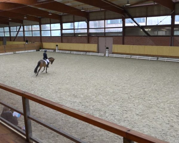 Reitturnier Hamburg-Friedrichshulde/Sylva Kuhrt 2021