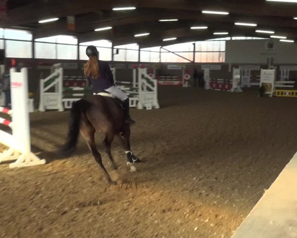 Reitturnier Lembeck 2019