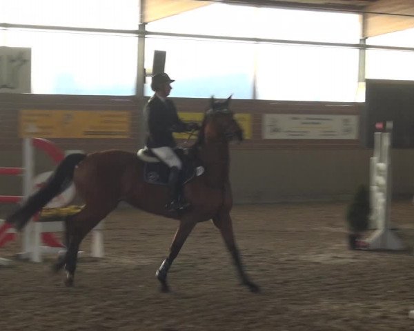 Reitturnier Lembeck 2019