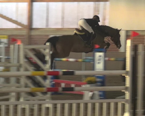 Reitturnier Lembeck 2019