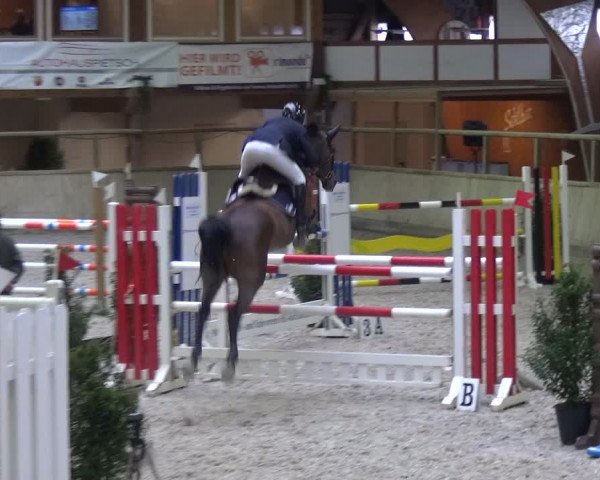 Reitturnier Heidelberg-Kirchheim 2019
