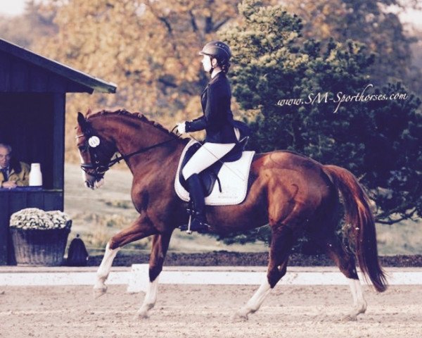 broodmare Roulette 126 (Hanoverian, 2006, from Rascalino)