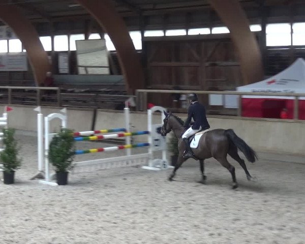 Reitturnier Heidelberg-Kirchheim 2019