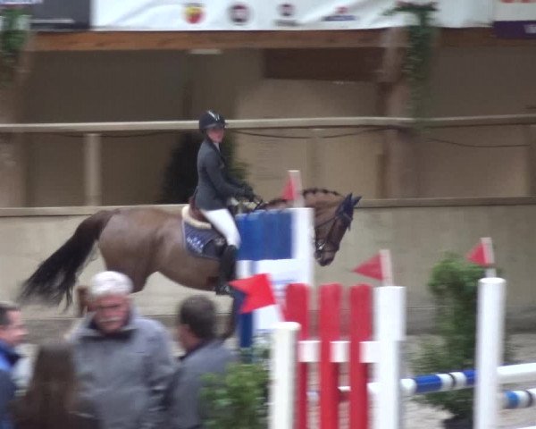 Reitturnier Heidelberg-Kirchheim 2019