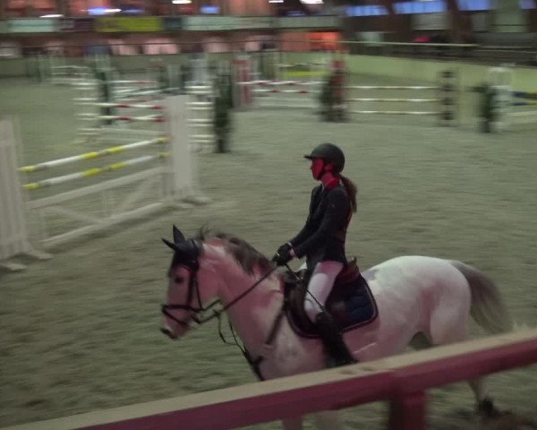 Reitturnier Heidelberg-Kirchheim 2019