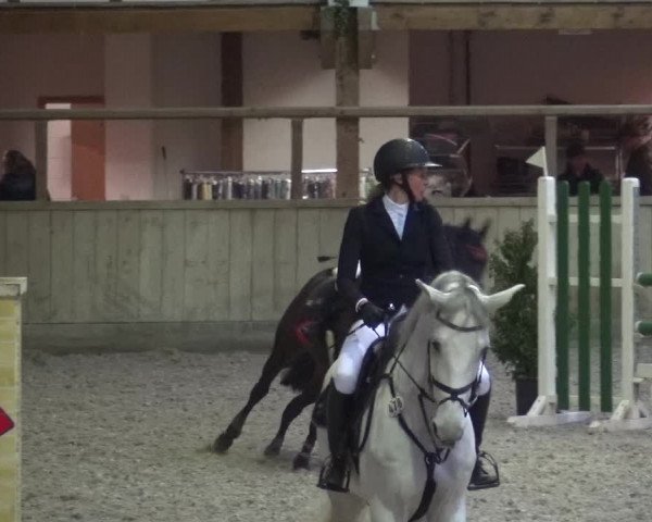 Reitturnier Heidelberg-Kirchheim 2019