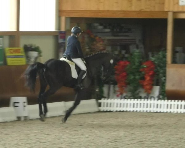 Reitturnier Dettingen 2019