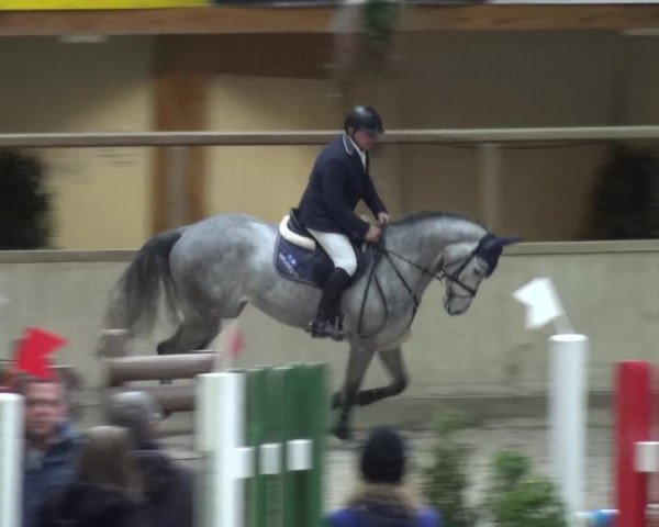 Reitturnier Heidelberg-Kirchheim 2019