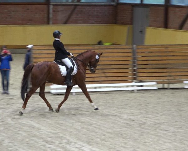 Reitturnier Hamburg-Friedrichshulde/Sylva Kuhrt 2021
