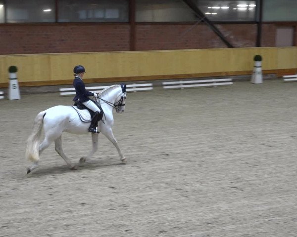 Reitturnier Hamburg-Friedrichshulde/Sylva Kuhrt 2021