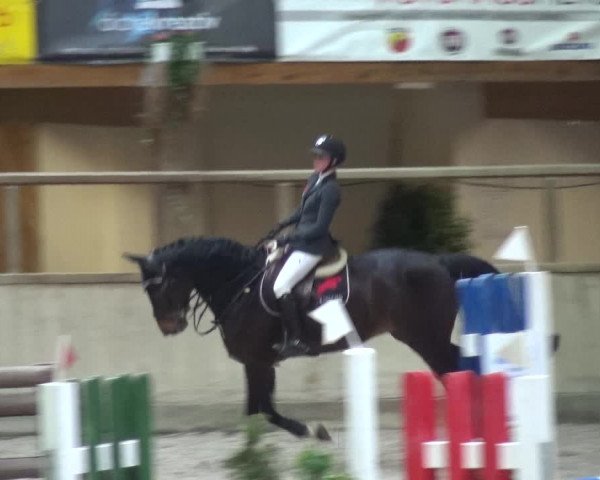 Reitturnier Heidelberg-Kirchheim 2019