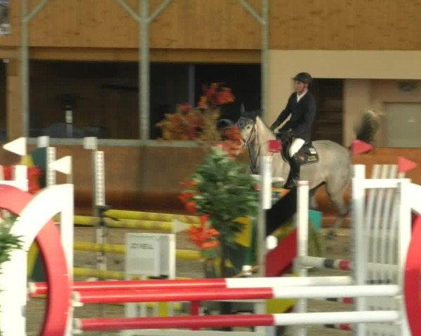 Reitturnier Dettingen 2019
