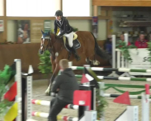 Reitturnier Dettingen 2019