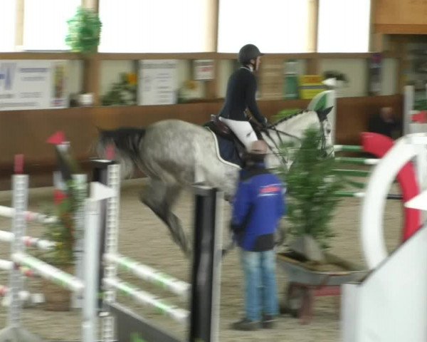 Reitturnier Dettingen 2019