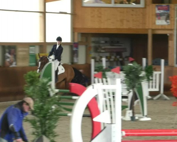 Reitturnier Dettingen 2019