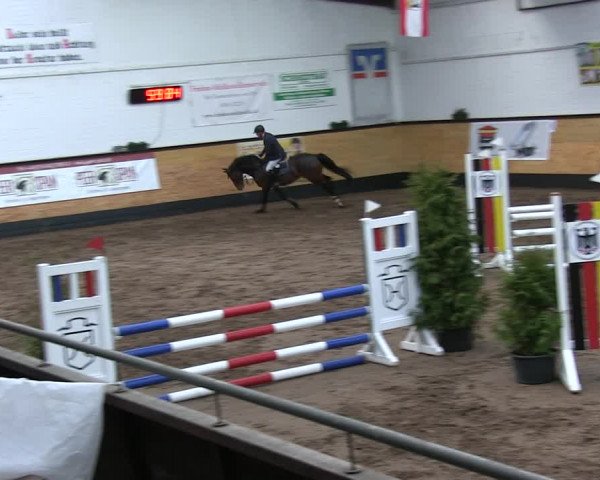 Reitturnier Heide 2019