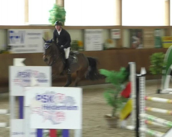 Reitturnier Dettingen 2019