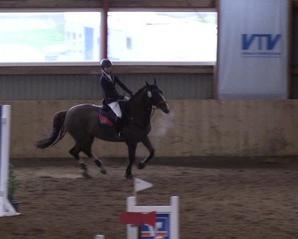 Reitturnier Süderlügum 2019