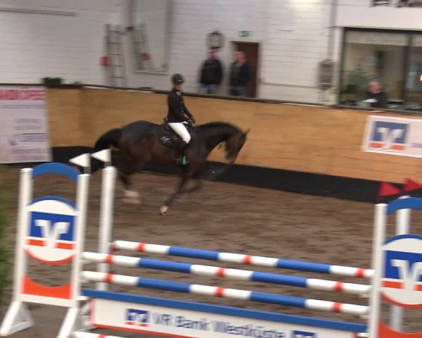 Reitturnier Heide 2019
