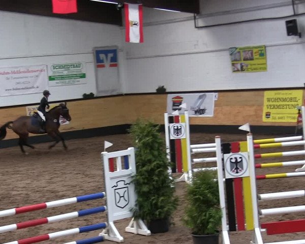 Reitturnier Heide 2019