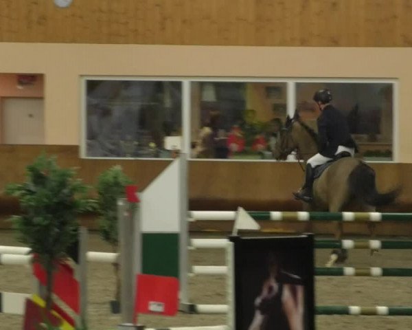 Reitturnier Dettingen 2019