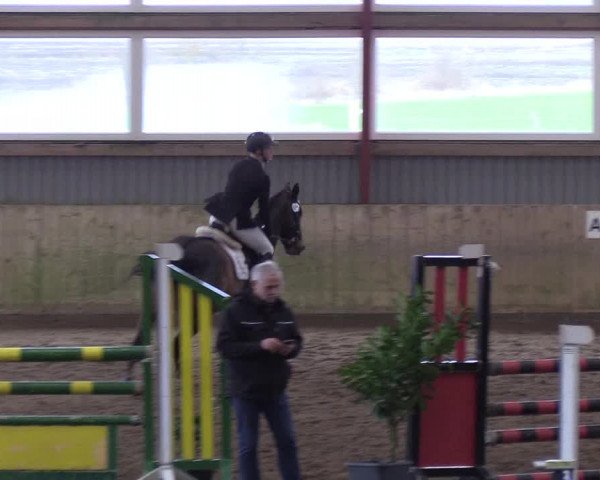 Reitturnier Süderlügum 2019