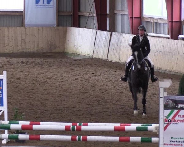 Reitturnier Süderlügum 2019