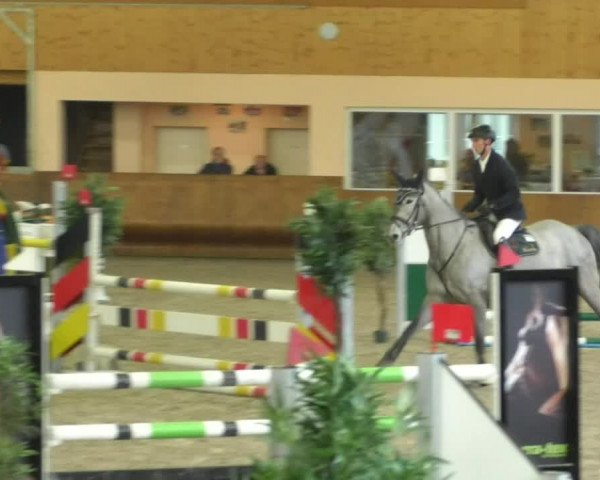 Reitturnier Dettingen 2019