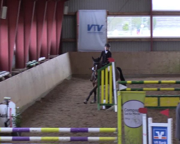 Reitturnier Süderlügum 2019