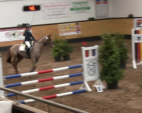 Reitturnier Heide 2019