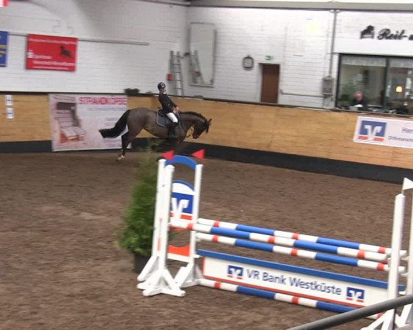 Reitturnier Heide 2019