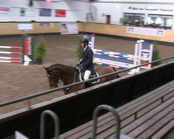 Reitturnier Heide 2019
