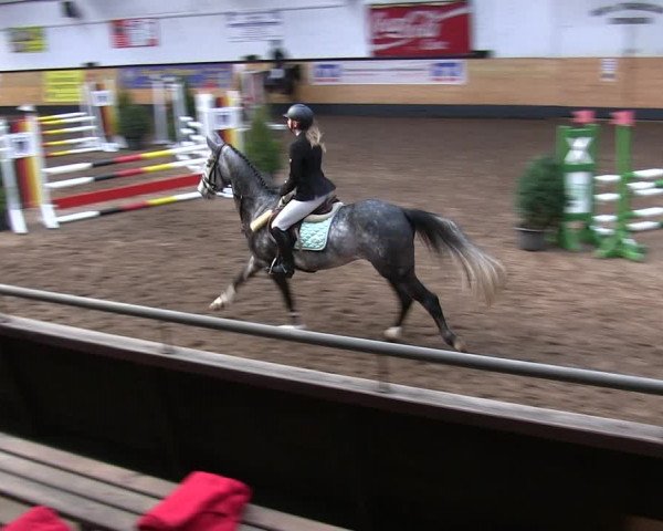 Reitturnier Heide 2019