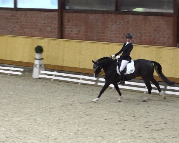 Reitturnier Hamburg-Friedrichshulde/Sylva Kuhrt 2021