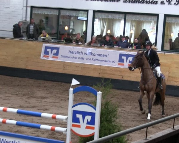 Reitturnier Heide 2019