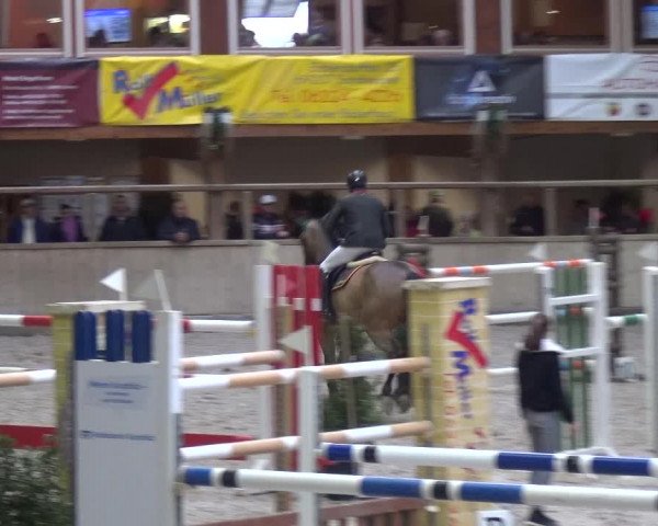 Reitturnier Heidelberg-Kirchheim 2019
