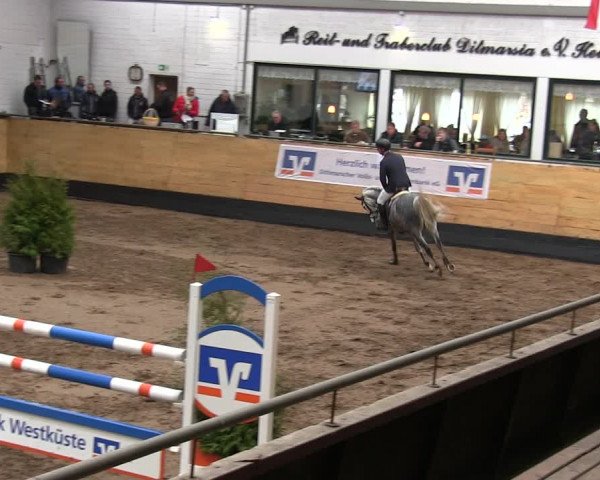 Reitturnier Heide 2019
