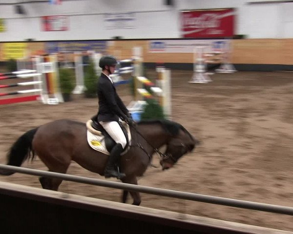 Reitturnier Heide 2019