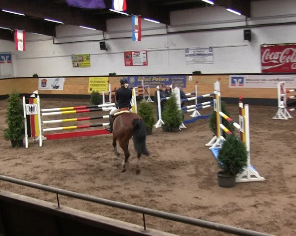 Reitturnier Heide 2019