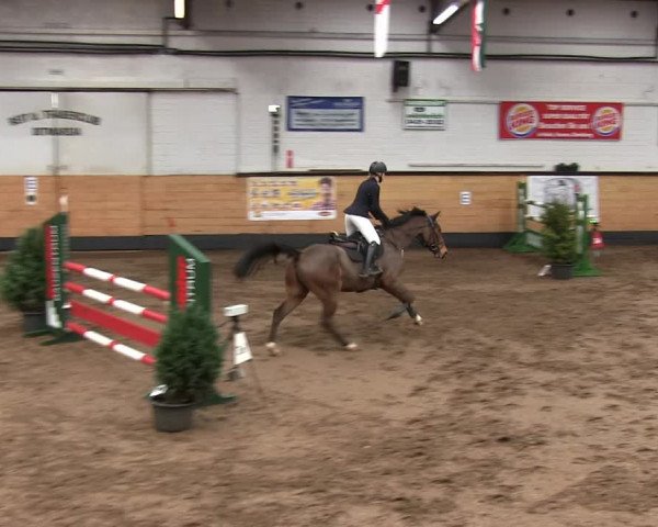 Reitturnier Heide 2019