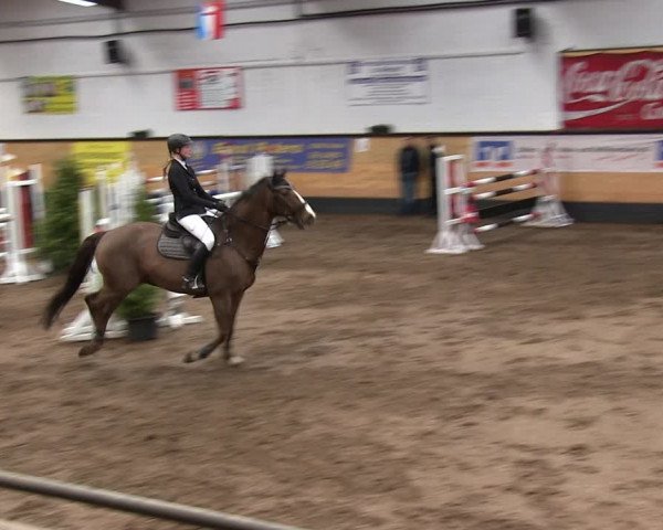 Reitturnier Heide 2019