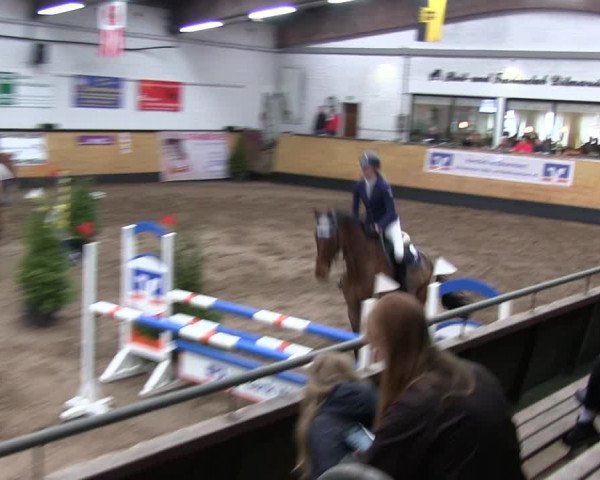Reitturnier Heide 2019