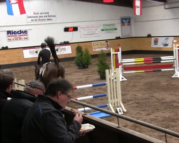 Reitturnier Heide 2019