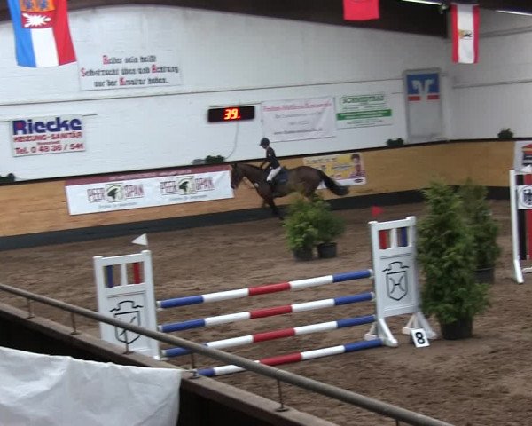 Reitturnier Heide 2019
