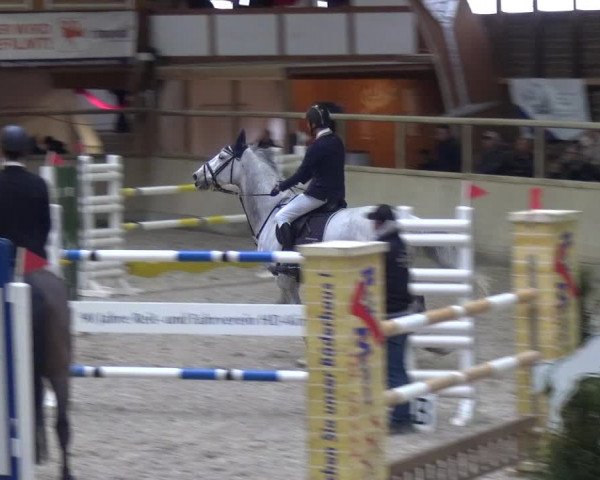 Reitturnier Heidelberg-Kirchheim 2019