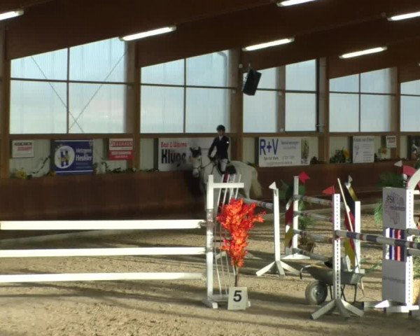 Reitturnier Dettingen 2019