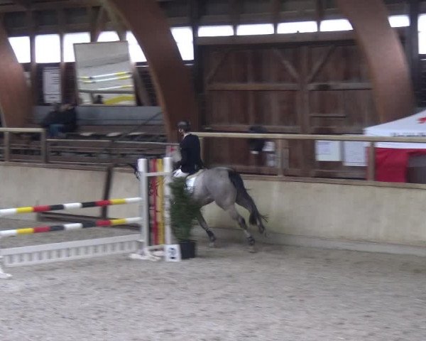 Reitturnier Heidelberg-Kirchheim 2019