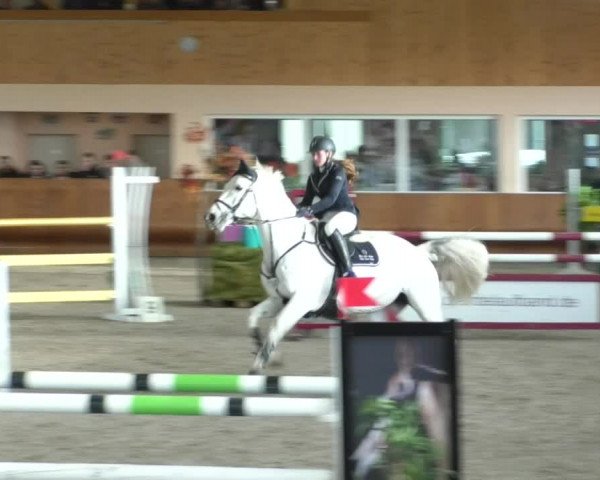 Reitturnier Dettingen 2019